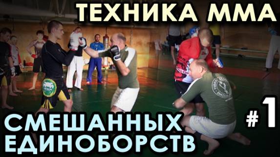 Техника боя Смешанных Боевых Единоборств: семинар Мишеля Ван Райта – 1.