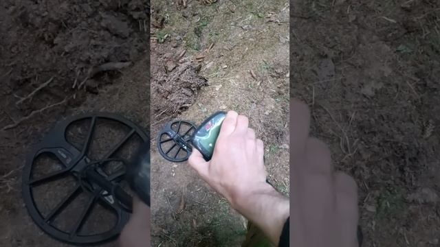 X Terra Elite и Эквинокс 700 тест сравнение на глубину в грунт