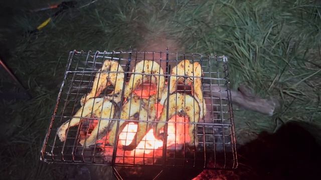 Ніч на риболовлі . Щука на вогні. Гриль.
