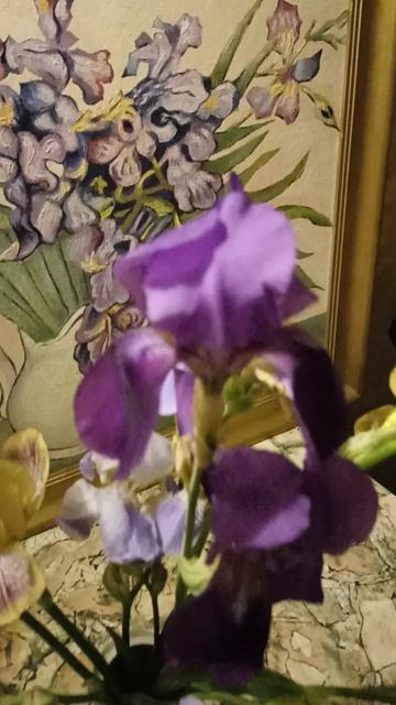 Мои ирисы и Ирисы Винсента Ван Гога смотреть онлайн