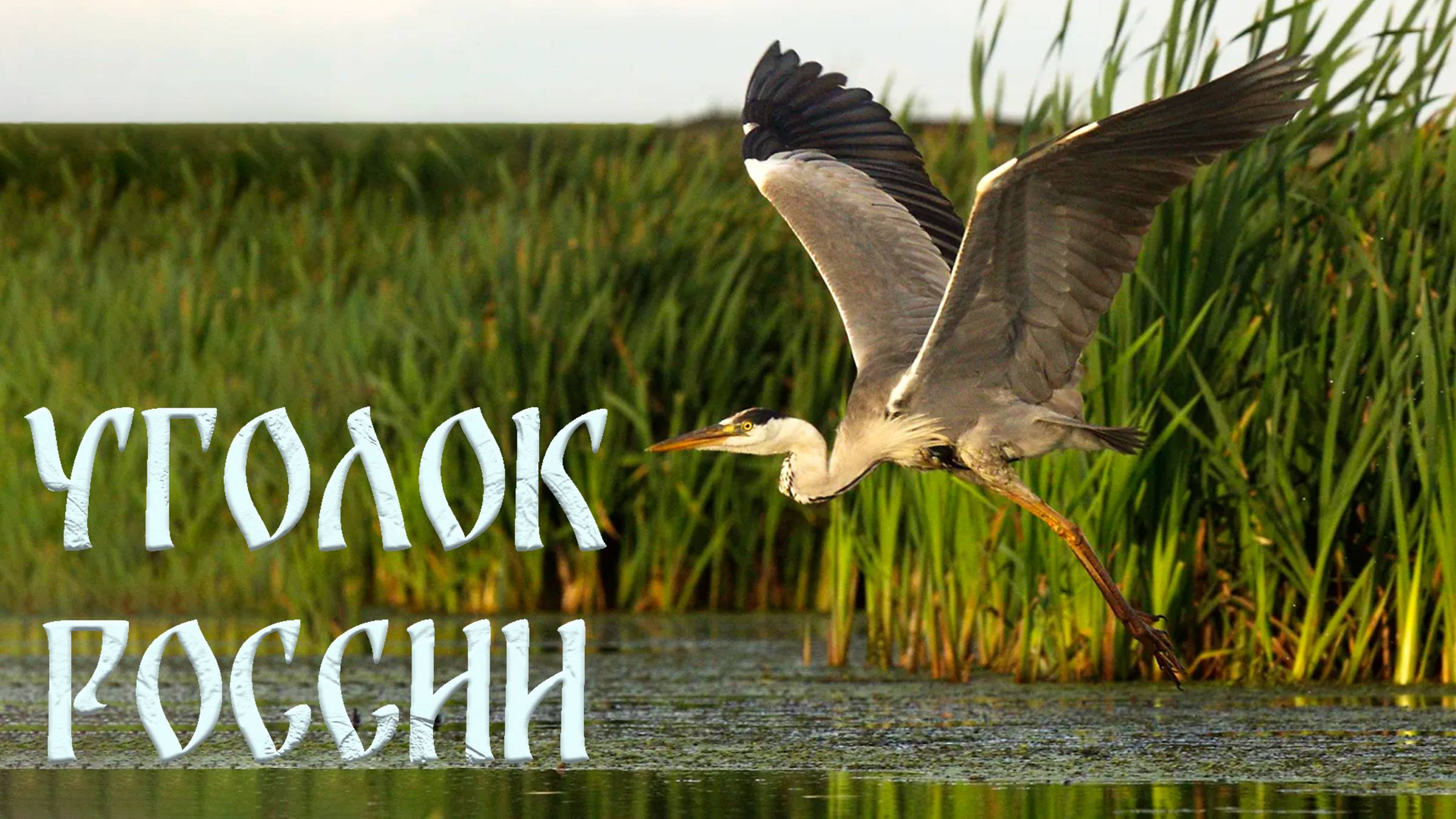 Уголок России