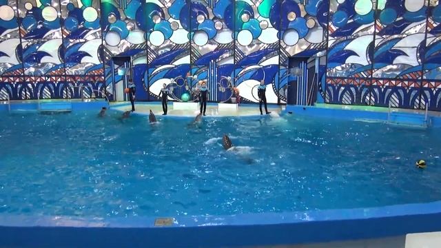 Роза Хутор 2018, горные лыжи, ущелье Ак-Цу, сплав по Мзымт