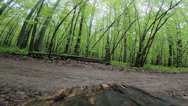 я люблю кататься на велике (лесок и городишко)