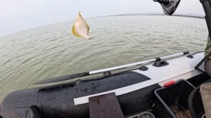 СУПЕР РЫБАЛКА!!! Камбала! Остров Сахалин!!!