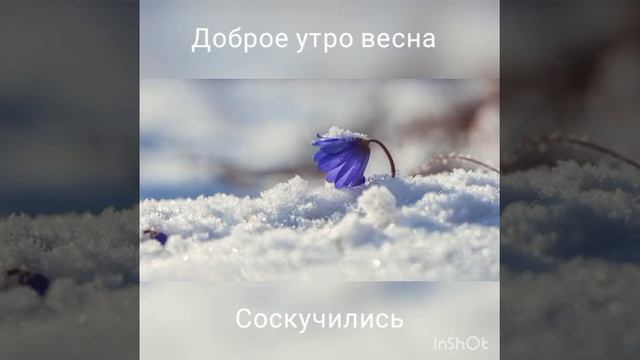 Доброе утро весна смотреть онлайн