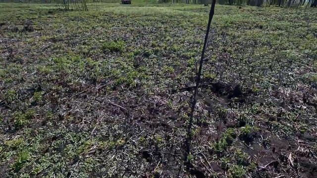 КОП МЕТАЛЛА 17.04.2025 смотреть онлайн