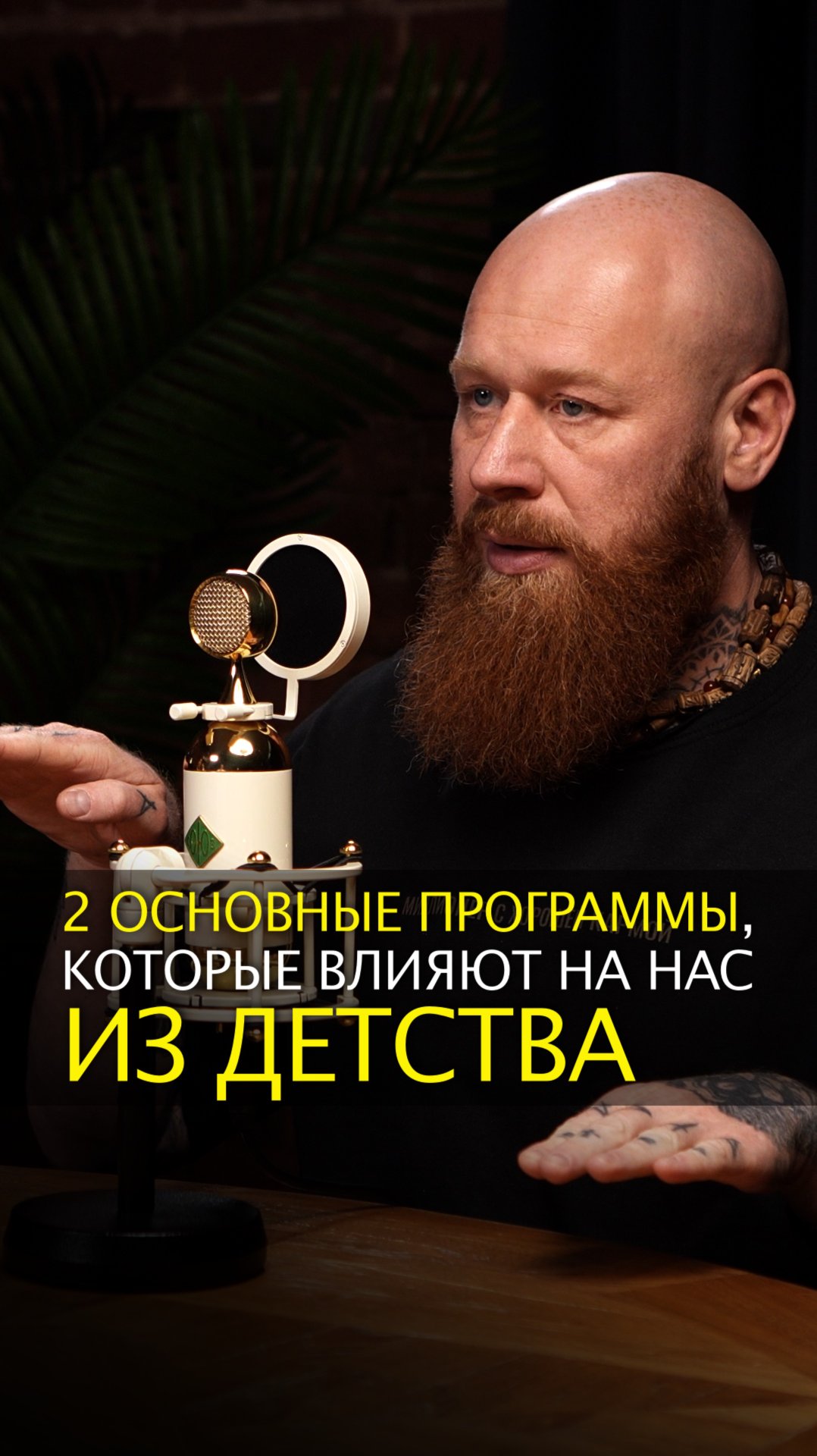 2 основные программы, которые влияют на нас из детства смотреть онлайн