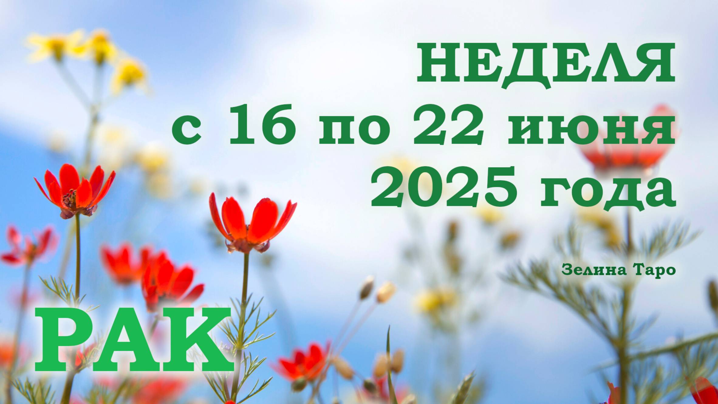 РАК | ТАРО прогноз на неделю с 16 по 22 июня 2025 года