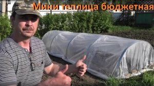Мини теплица Супер бюджетная за 40 минут