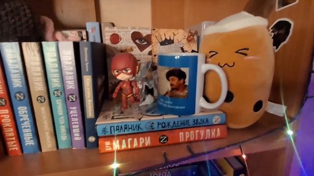 МОИ КНИЖНЫЕ ПОЛКИ 2025/Тур по книжным полкам🤎