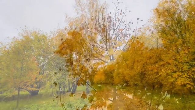 Красавица-осень. Автор Лидия Поляк. Читает Вероника Фи