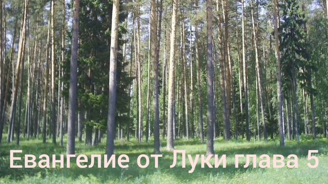 Библия Евангелие от Луки глава 5 смотреть онлайн