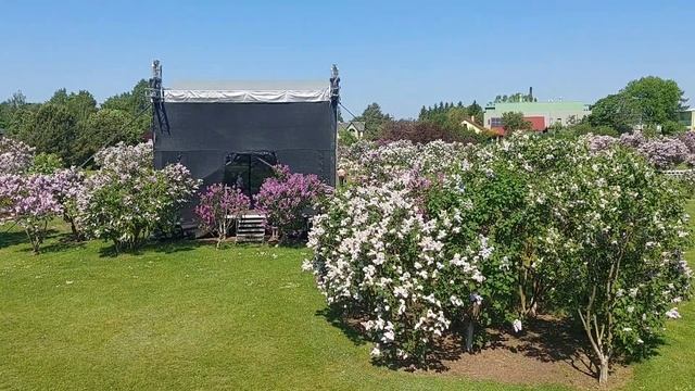 325.Латвия.Добеле-латвийская столица сирени.