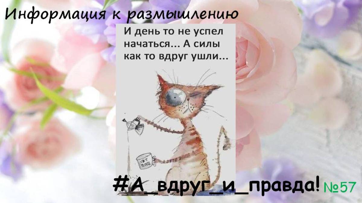 Нет сил, нет времени, всё надоело... смотреть онлайн