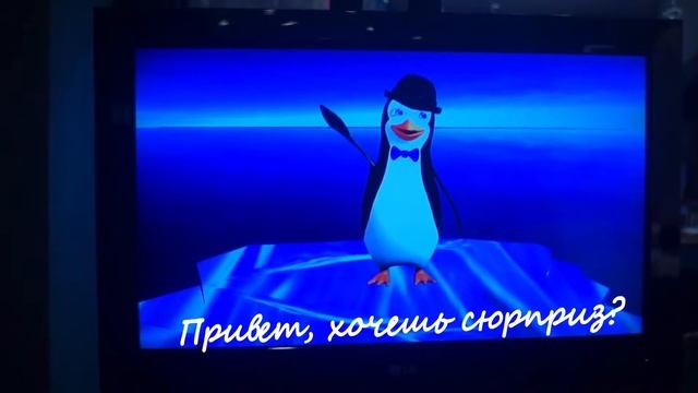 Проект Зеркало