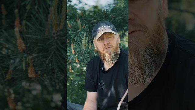 Самые полезные вкусы смотреть онлайн