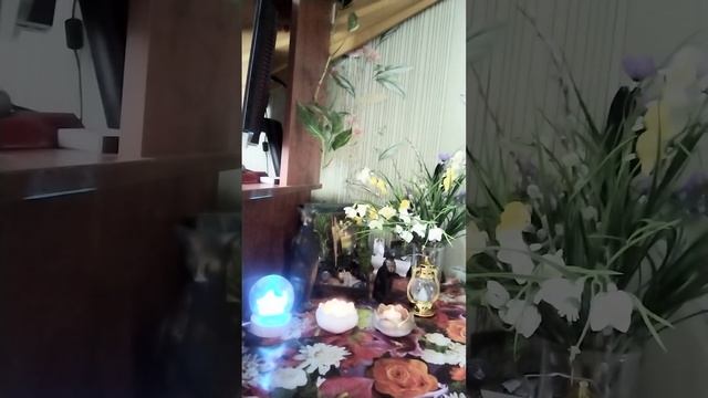 ЧИТАЕМ МОИ КНИГИ📗Мечты сбываются-3 с 1 по 15 гл. смотреть онлайн