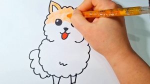 Как нарисовать шпица How to draw a spitz