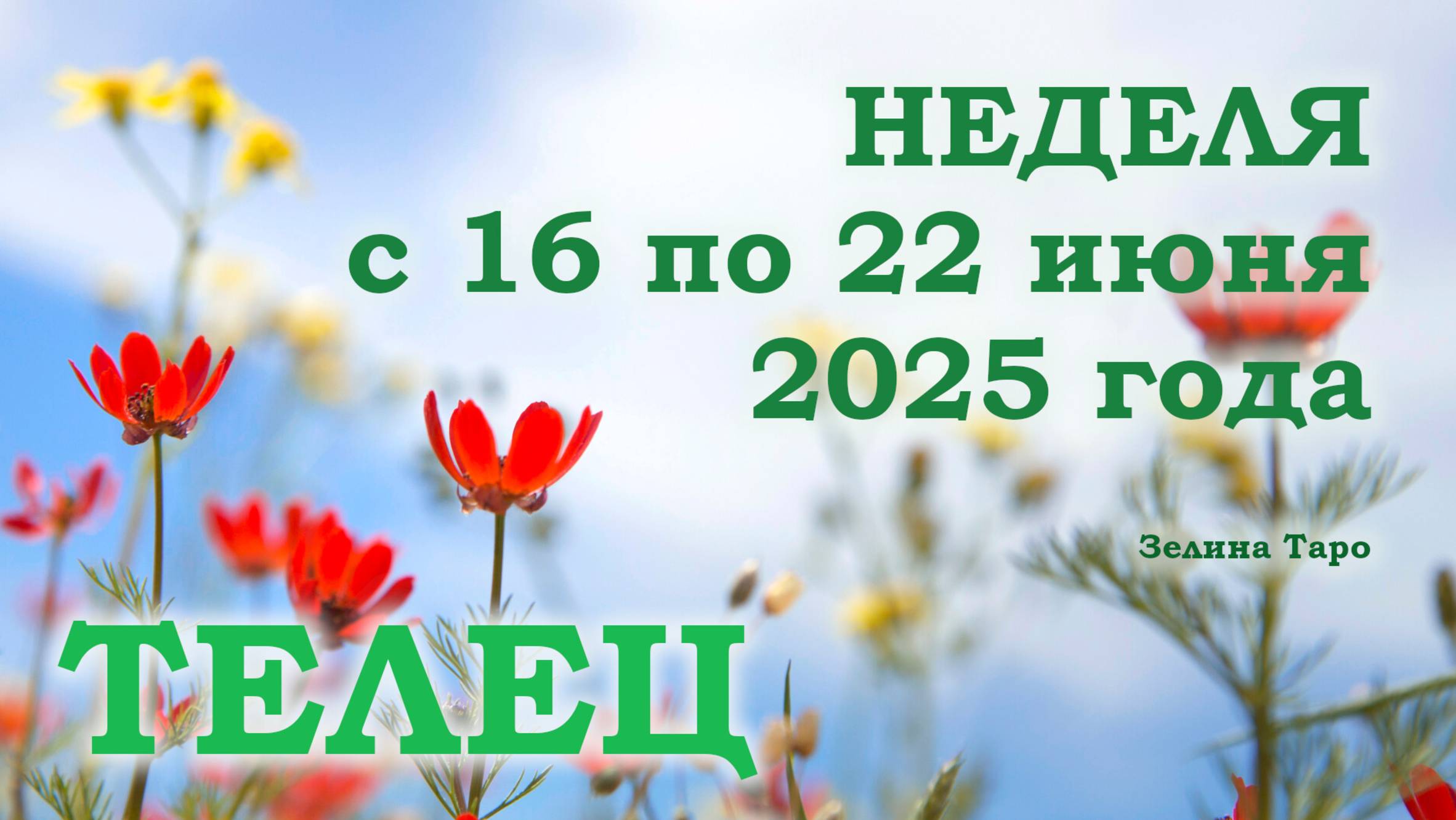 ТЕЛЕЦ | ТАРО прогноз на неделю с 16 по 22 июня 2025 года