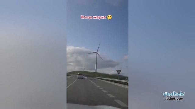 Подборка лучшие смешные видео август 2023. Часть 3