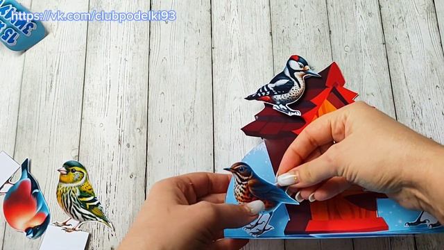 Аппликация День зимующих птиц из бумаги Поделка своим