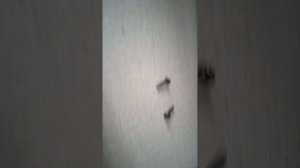 Как вскрыть принтер Epson L1110 Series