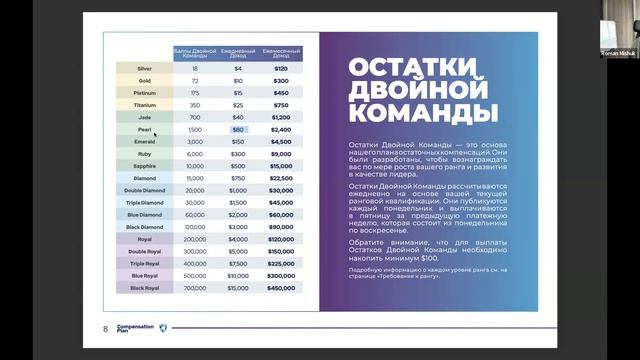 Подробный разбор маркетинг плана компании MWR LIFE 🌍 с Р?