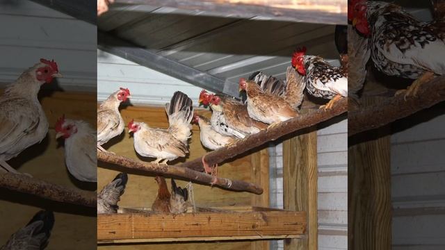 Это интересно-1