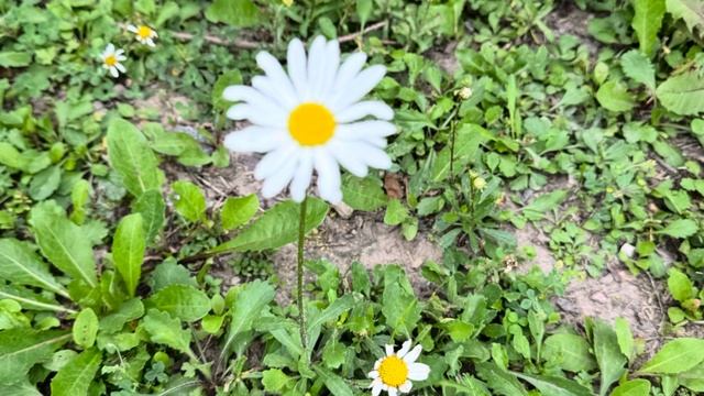 Кириши, Ленинградская область смотреть онлайн