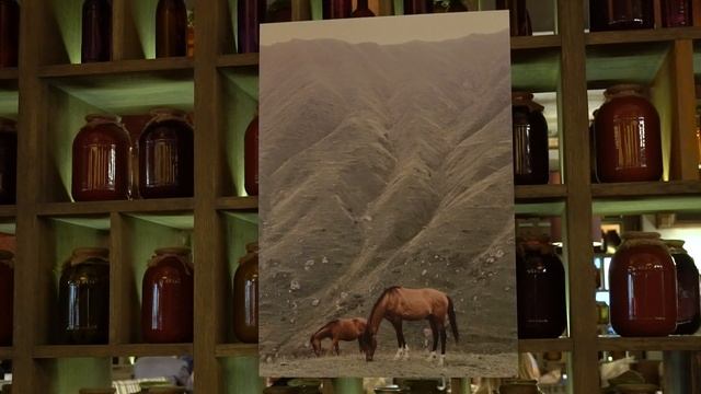 Фотовыставка Грузия в деталях - Татьяна Соболева