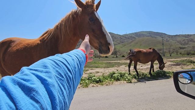 Окрестности Судака и бухта Бугаз смотреть онлайн