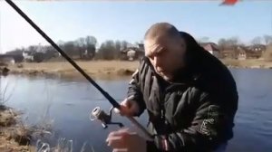 Крупный лещ на поплавок с берега