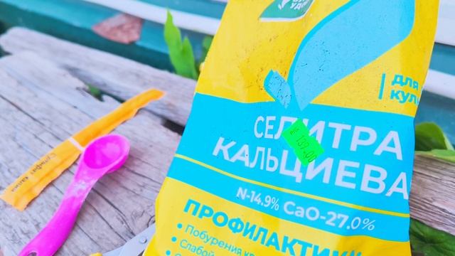 Подкармливаю озимый чеснок и сплела из ротанга башмак. смотреть онлайн