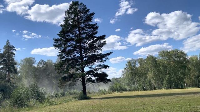 Красивая грунтовая дорога