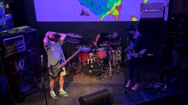 Conifer Beard тур 