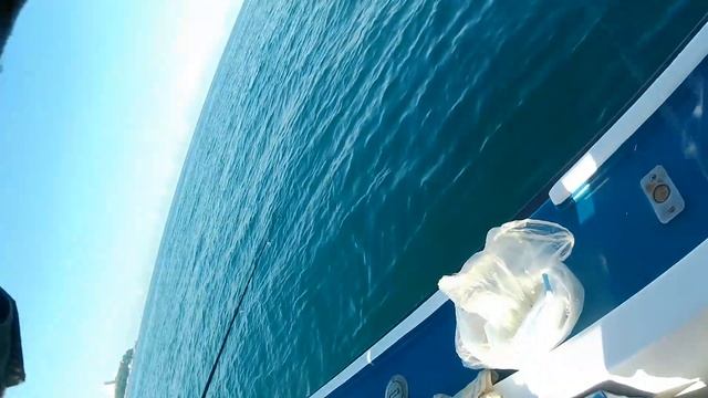 Морская рыбалка на ставридку в Анапе 16.05.25