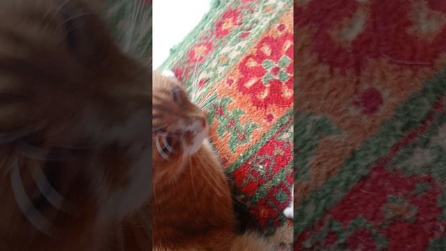 мы на даче смотреть онлайн