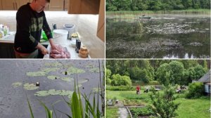 РЫБАЛКА, ШАШЛЫК, ДОЖДЬ И КОСИТЬ.