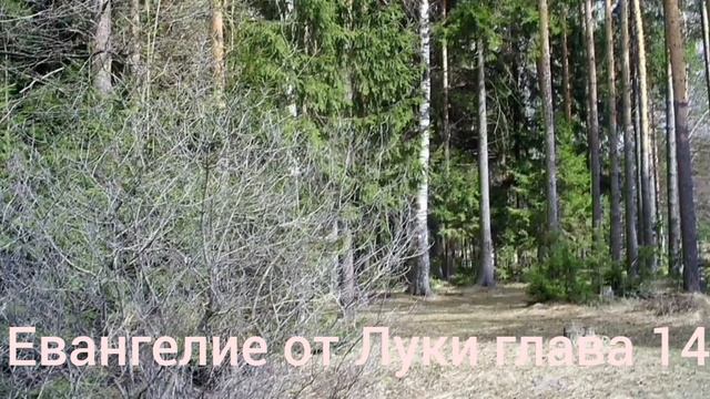 Библия Евангелие от Луки глава 14 смотреть онлайн