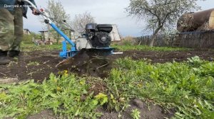 МОТОБЛОК НЕВА МБ2 РАБОТА НА ОГОРОДЕ