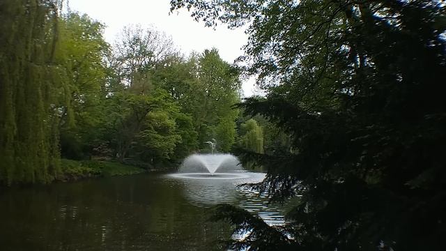 Если твоей маме мешает родня на моей даче, пусть сидит