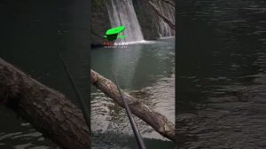 Рыбалка на течении. Поплавок Высоцкого ПРОНЫРА. Мормы?