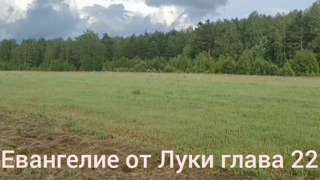 Библия Евангелие от Луки глава 22 смотреть онлайн