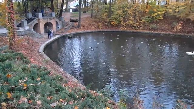 БЕЛАЯ ЦЕРКОВЬ ПАРК АЛЕКСАНДРИЯ ПРЕДВЕЧЕРЬЕ 29 10 2020Г смотреть онлайн