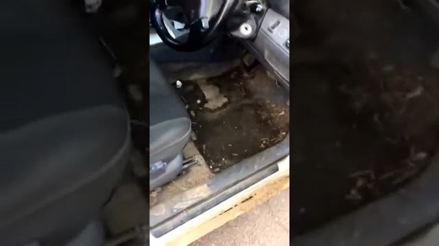 Rav 4 Случай на автомойке  Девушка пригнала на мойку сво?