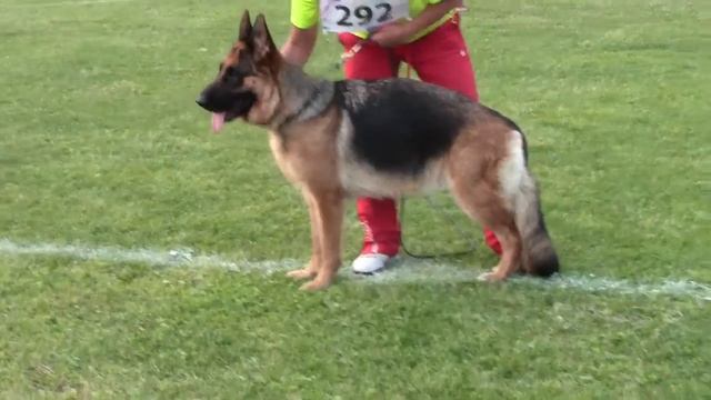 ЗИЛЬБЕР ВАССЕРФАЛЬ ЕЖИНКА