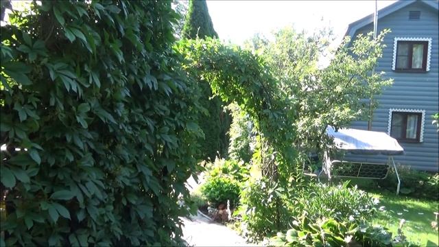 Дача. Про арки. Картины с Авито. Новые бусы. Дела дачные