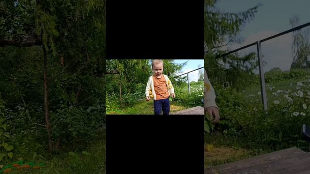 Аврора играет