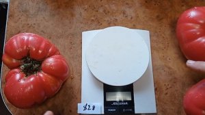 Томат Семейная реликвия 1