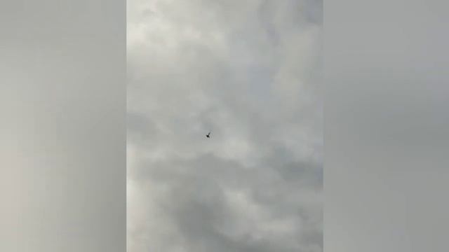 Пикирующие голуби. Нуржан Алматы. игра голубей через к